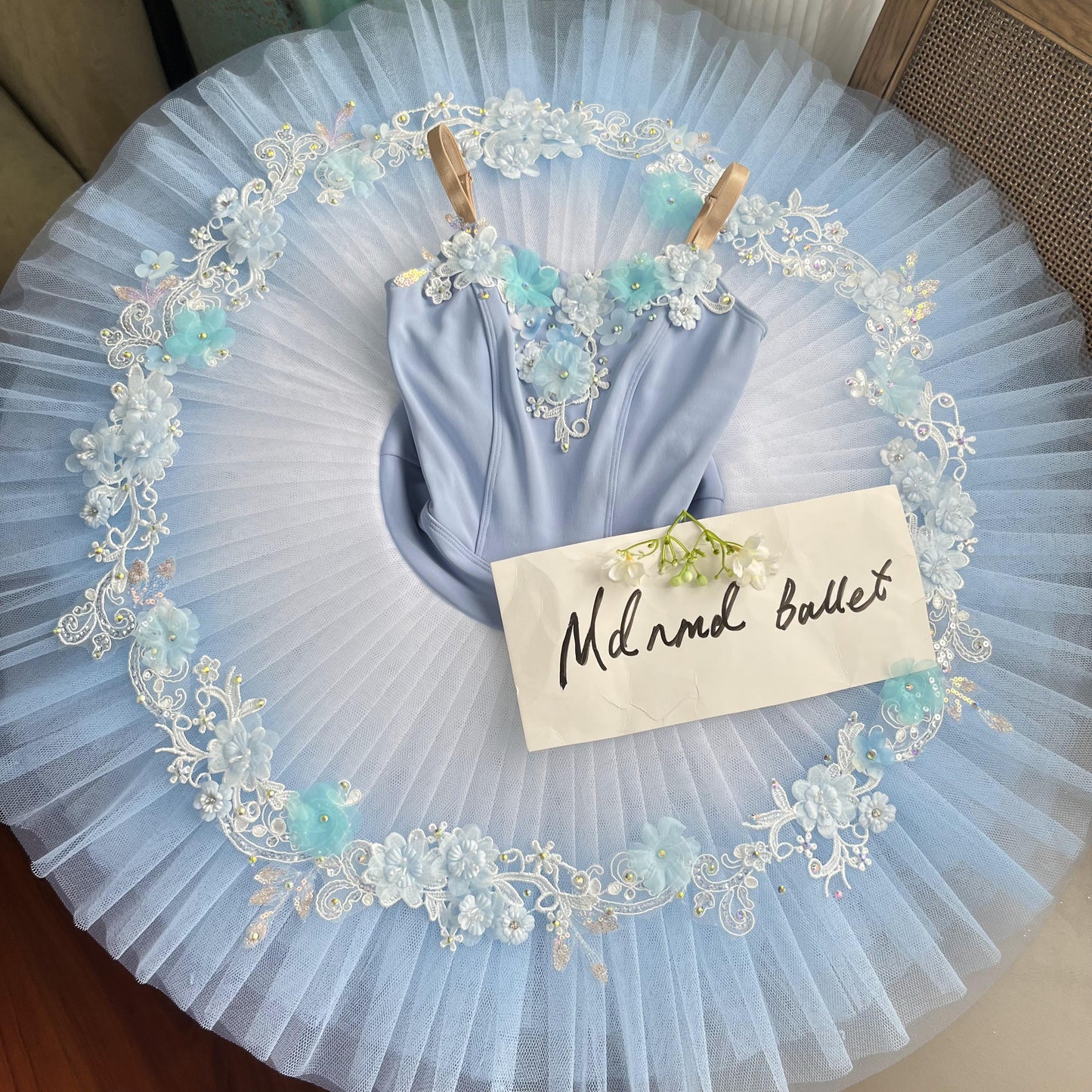 Delicate Blue Ballet Tutu with Floral Appliqué and Embroidered Lace - MDT0633