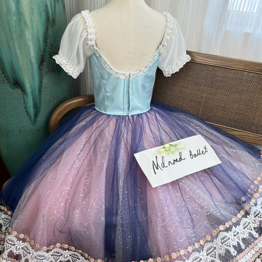 Multi-Layered Ballet Tutu Dress for Dancers with Exquisite Embellishments - MDC0406