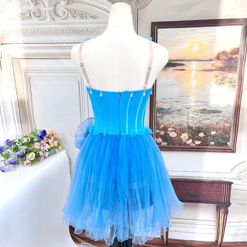 BLC0018  Sleeping Beauty Professional Ballet Tutu Long Dress | Ready-to-Ship