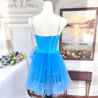 BLC0018  Sleeping Beauty Professional Ballet Tutu Long Dress | Ready-to-Ship