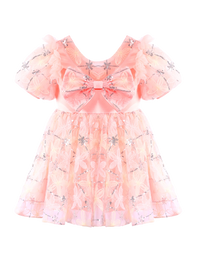 Girls Pink Floral Embroidery Puff Sleeve Princess Dress Gown-XGZ9007
