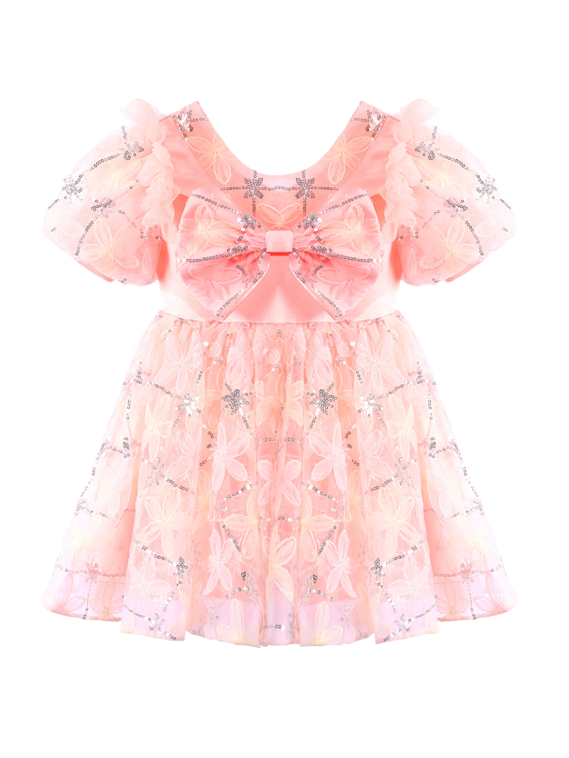 Girls Pink Floral Embroidery Puff Sleeve Princess Dress Gown-XGZ9007