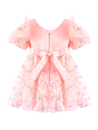 Girls Pink Floral Embroidery Puff Sleeve Princess Dress Gown-XGZ9007