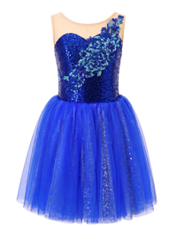 Girls Royal Blue Sequin Floral Ballet Tutu Dress Swan Lake Bluebird Nutcracker Costume
