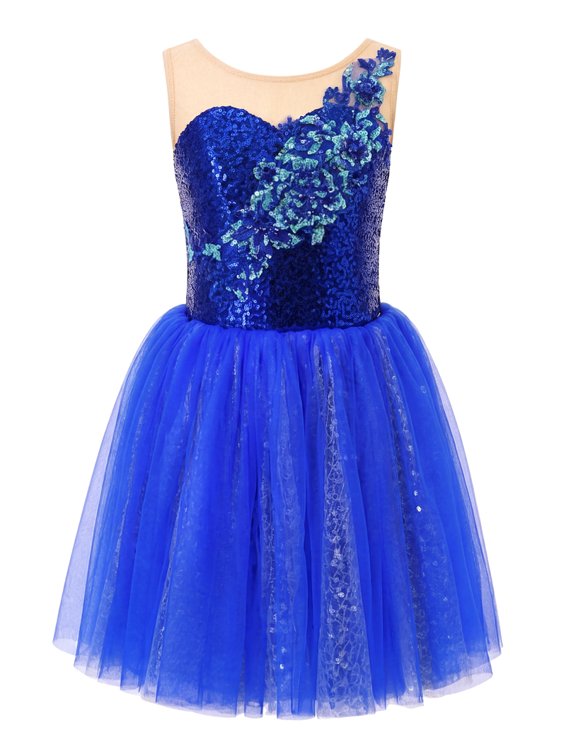 Girls Royal Blue Sequin Floral Ballet Tutu Dress Swan Lake Bluebird Nutcracker Costume