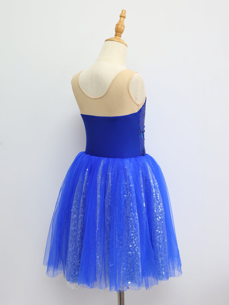 Girls Royal Blue Sequin Floral Ballet Tutu Dress Swan Lake Bluebird Nutcracker Costume