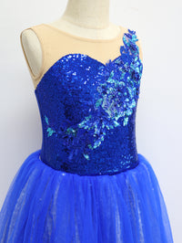 Girls Royal Blue Sequin Floral Ballet Tutu Dress Swan Lake Bluebird Nutcracker Costume