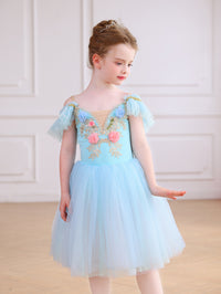 Girls Floral Embroidery Flutter Sleeve Ballet Leotard Princess Tutu Dress-ALP060