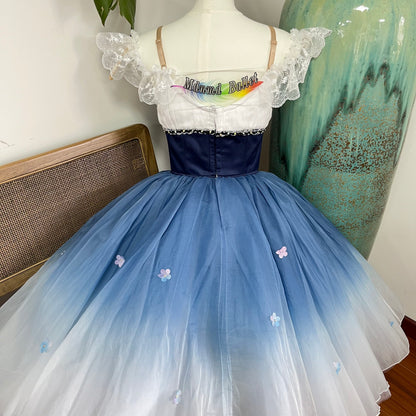 Exquisite Off - Shoulder Blue Ballet Dress - Ombre Tulle & Delicate Lace-MDC1068