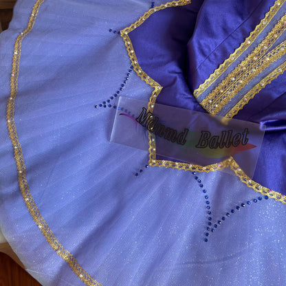 Handmade Purple Ballet Dress for Girls with Golden Embroidered Trim - Perfect for Dance Competitions-MDT1083