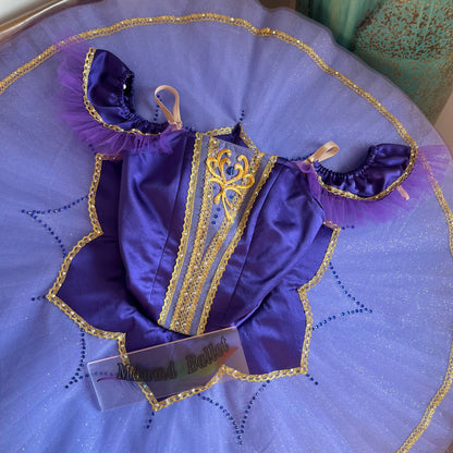 Handmade Purple Ballet Dress for Girls with Golden Embroidered Trim - Perfect for Dance Competitions-MDT1083