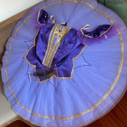 Handmade Purple Ballet Dress for Girls with Golden Embroidered Trim - Perfect for Dance Competitions-MDT1083