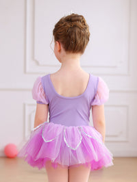 Girls Floral Embroidery Ballet Tutu Dress, Puff Sleeve Dance Costume-ALP045