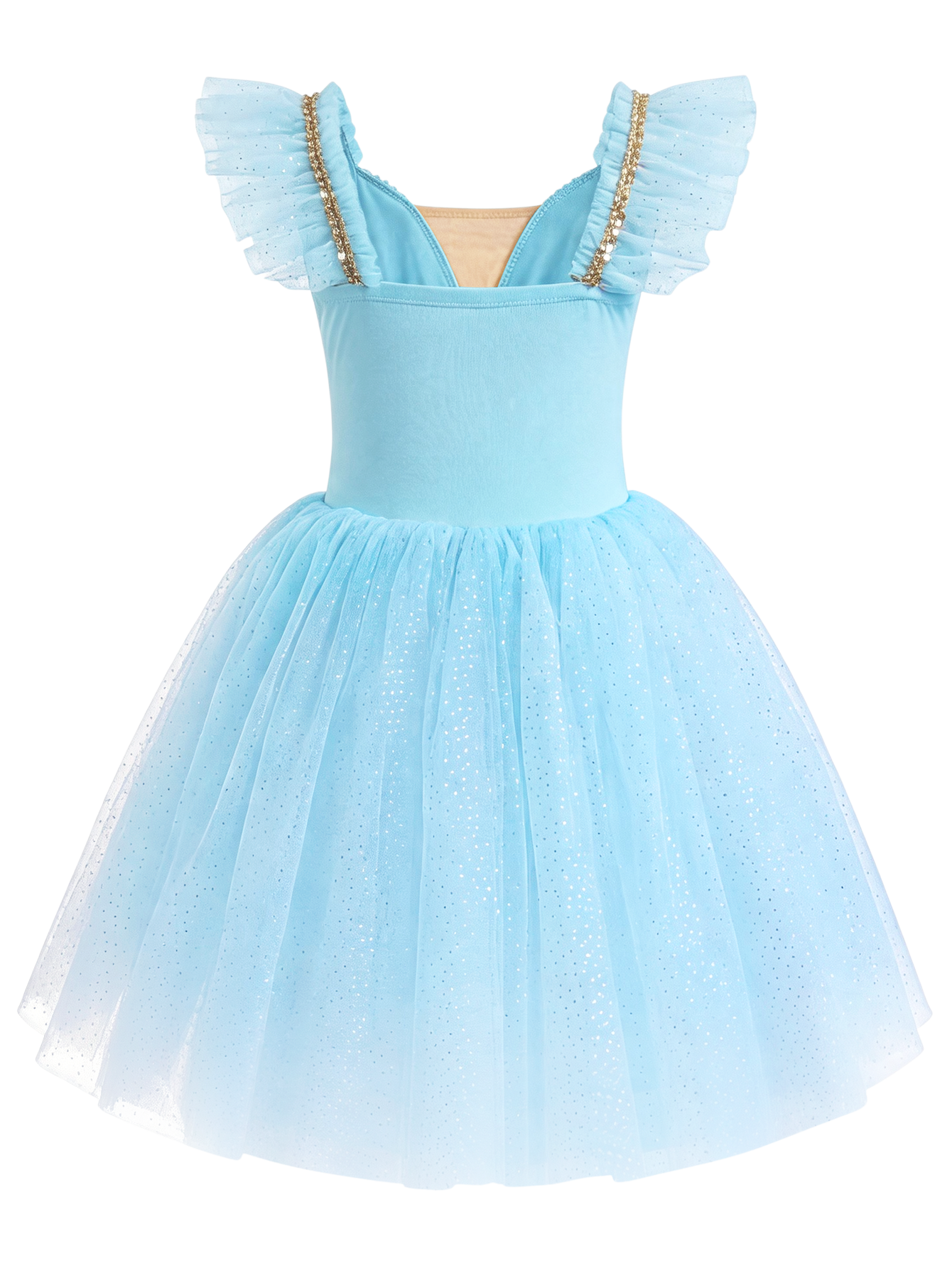 Girls Floral Embroidery Flutter Sleeve Ballet Leotard Princess Tutu Dress-ALP060