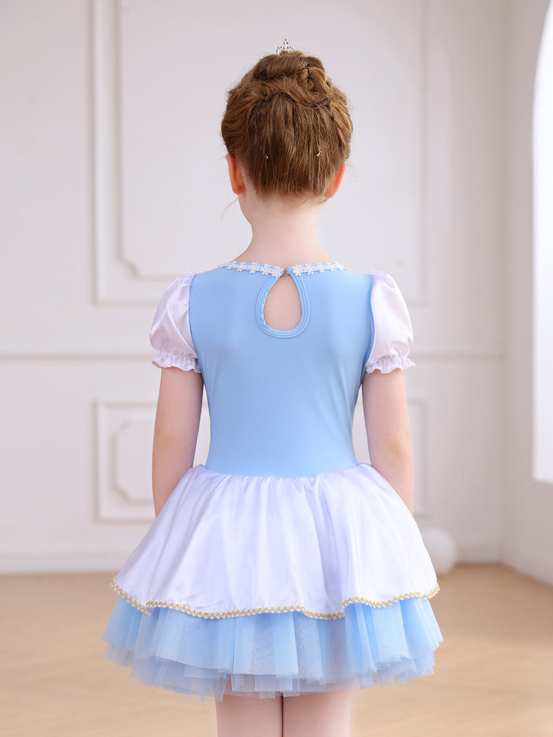 Girls Puff Sleeve Heart Glitter Ballet Leotard Princess Tutu Dress-ALP069