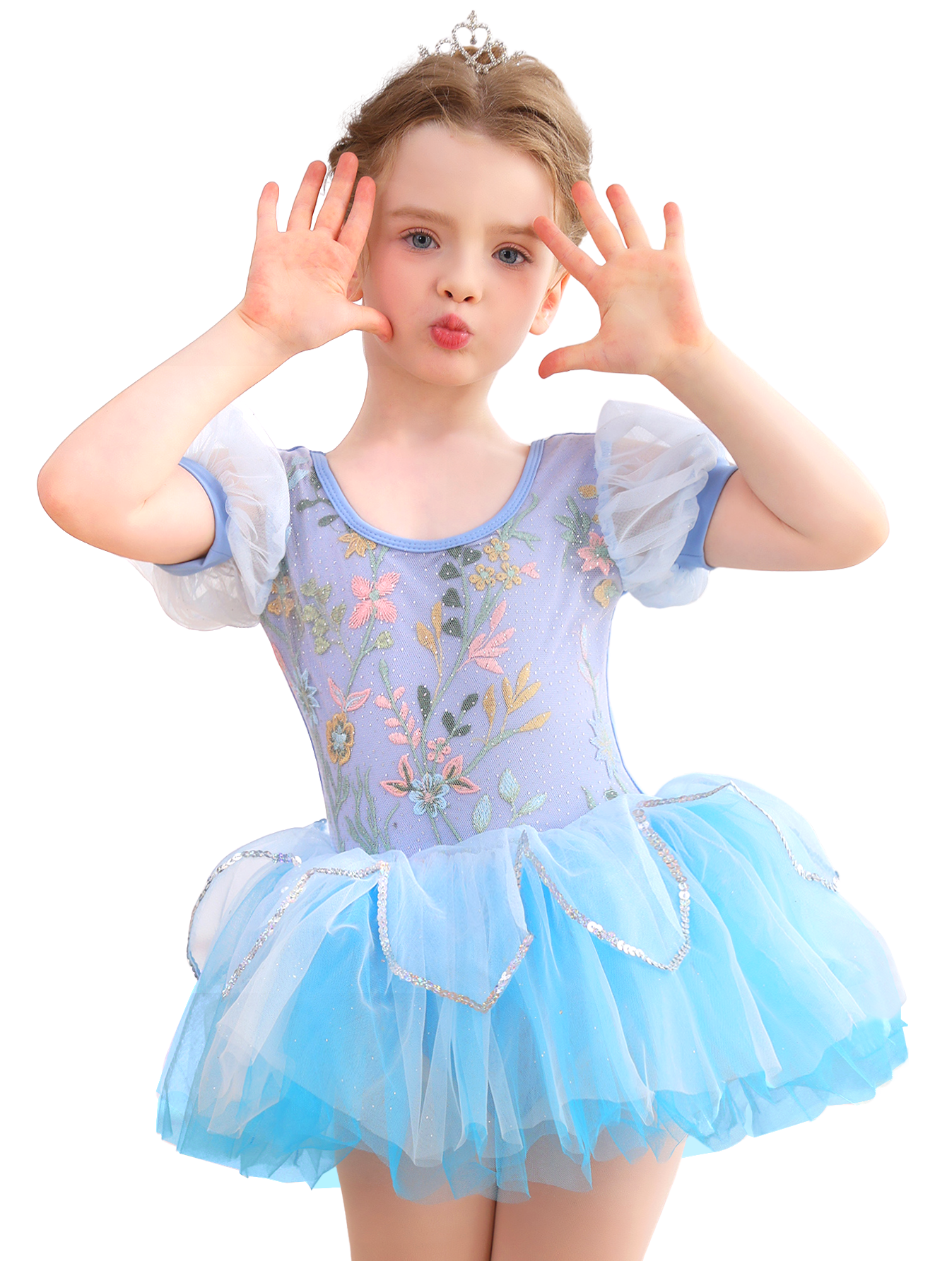 Girls Floral Embroidery Ballet Tutu Dress, Puff Sleeve Dance Costume-ALP045