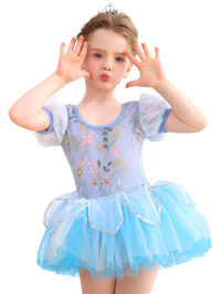 Girls Floral Embroidery Ballet Tutu Dress, Puff Sleeve Dance Costume-ALP045