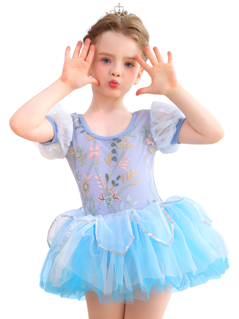 Girls Floral Embroidery Ballet Tutu Dress, Puff Sleeve Dance Costume-ALP045