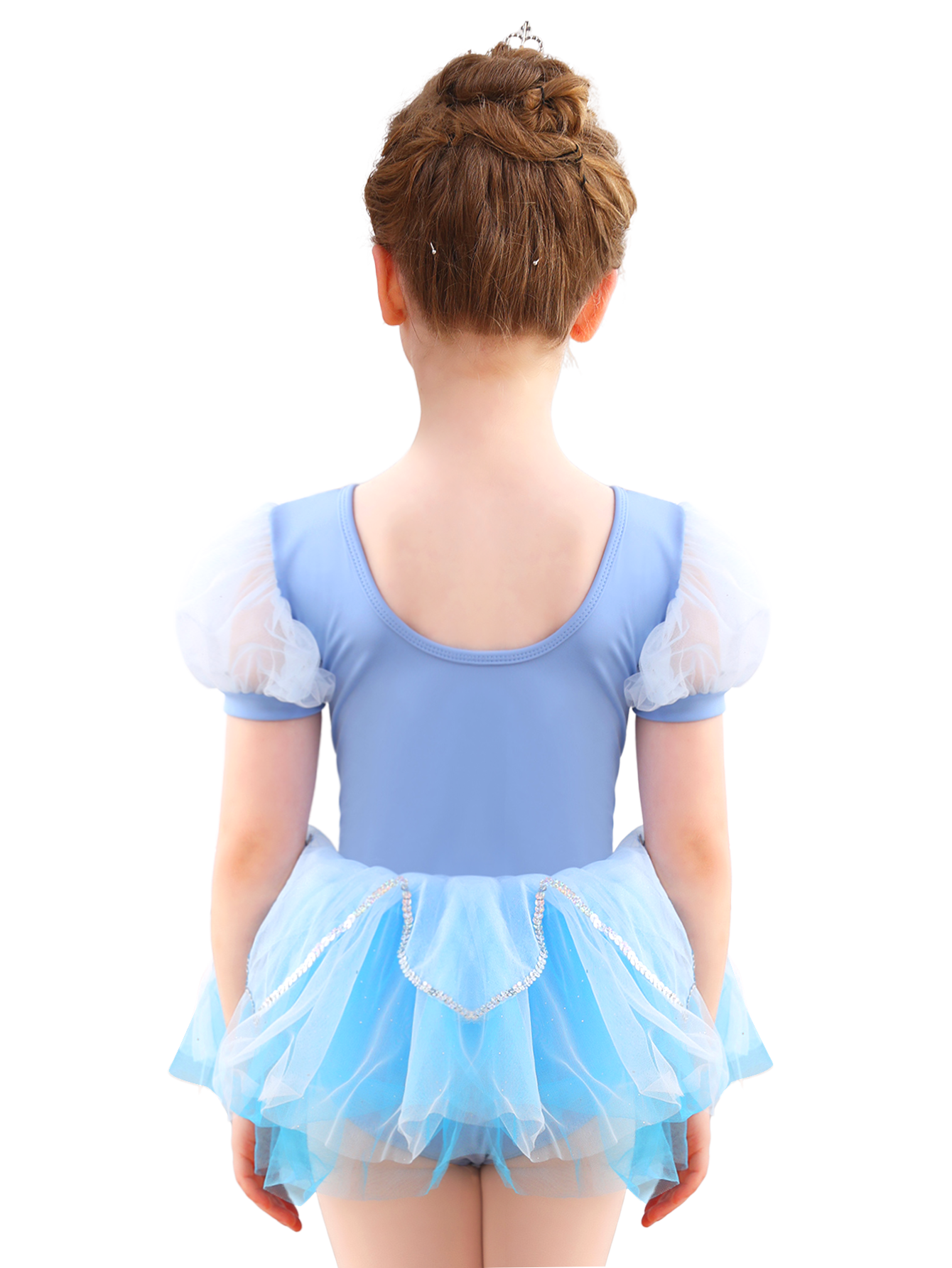 Girls Floral Embroidery Ballet Tutu Dress, Puff Sleeve Dance Costume-ALP045