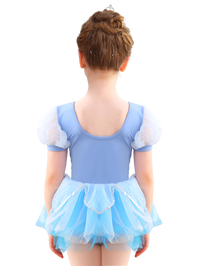Girls Floral Embroidery Ballet Tutu Dress, Puff Sleeve Dance Costume-ALP045