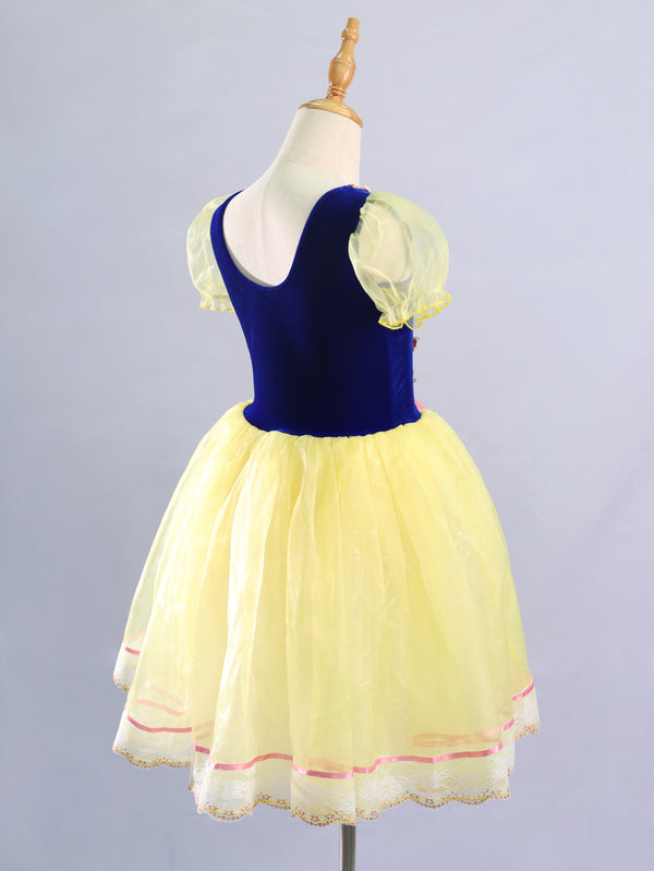 Kids Royal Blue Velvet Pink Lace Princess Dance Costume