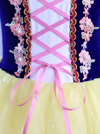 Kids Royal Blue Velvet Pink Lace Princess Dance Costume