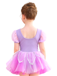 Girls Floral Embroidery Ballet Tutu Dress, Puff Sleeve Dance Costume-ALP045