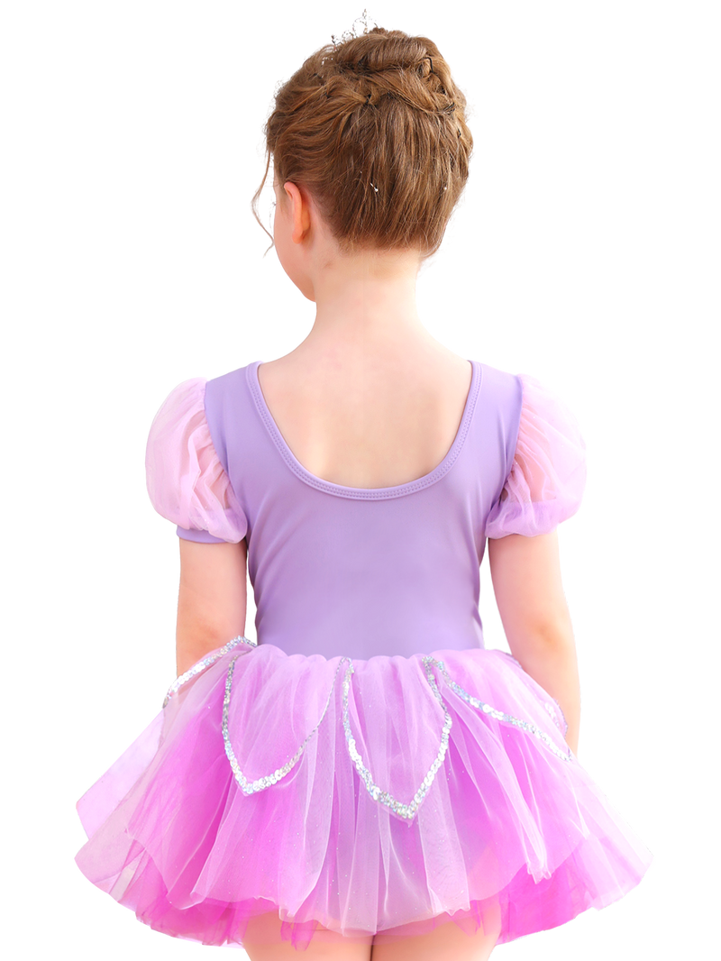 Girls Floral Embroidery Ballet Tutu Dress, Puff Sleeve Dance Costume-ALP045