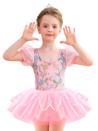 Girls Floral Embroidery Ballet Tutu Dress, Puff Sleeve Dance Costume-ALP045