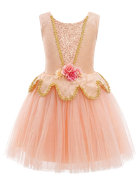 Kids Sleeveless Gold Trim Flower Princess Dance Costume