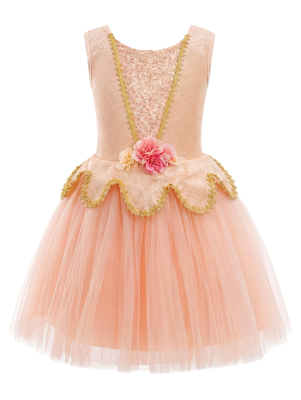 Kids Sleeveless Gold Trim Flower Princess Dance Costume