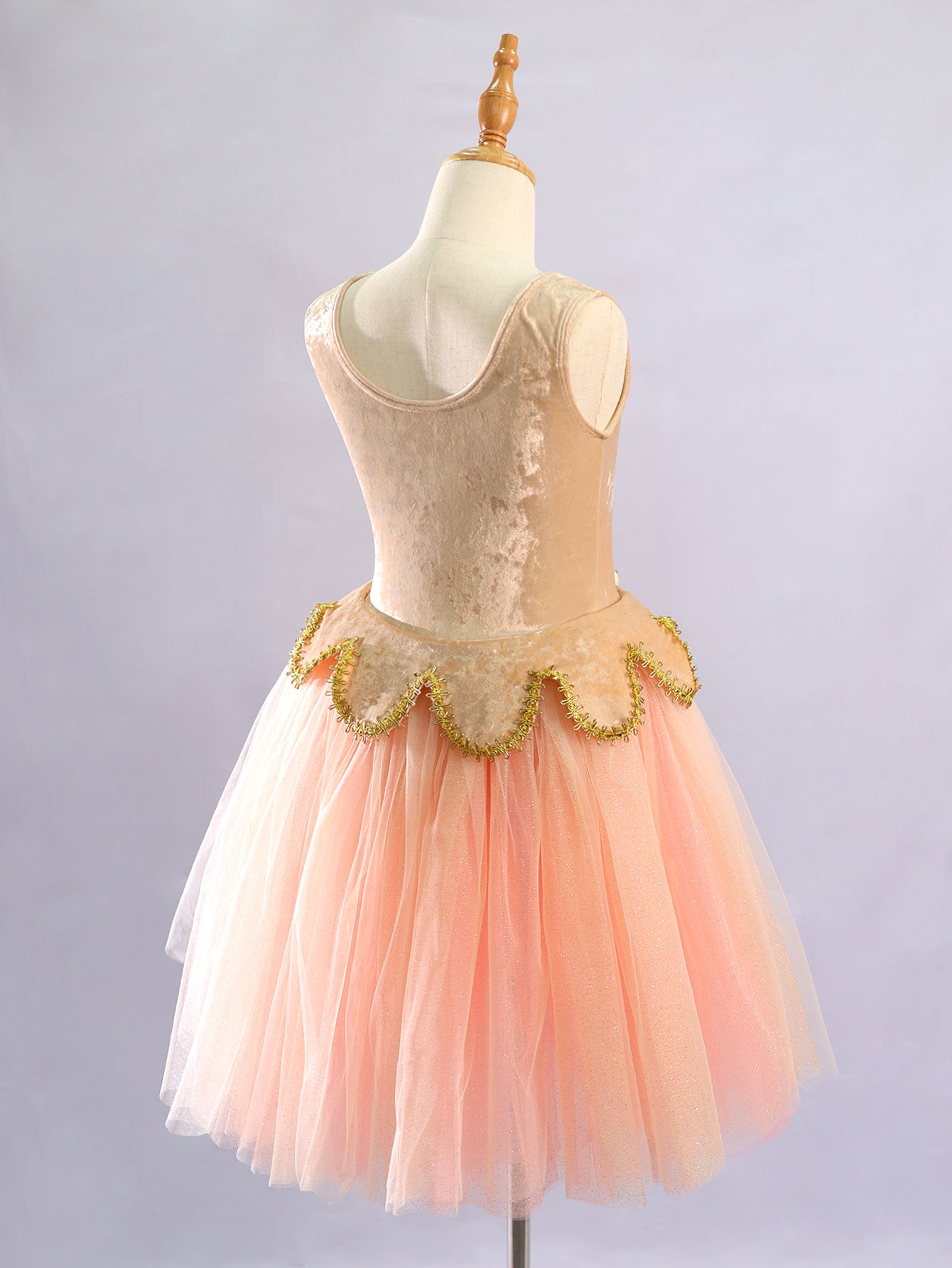 Kids Sleeveless Gold Trim Flower Princess Dance Costume