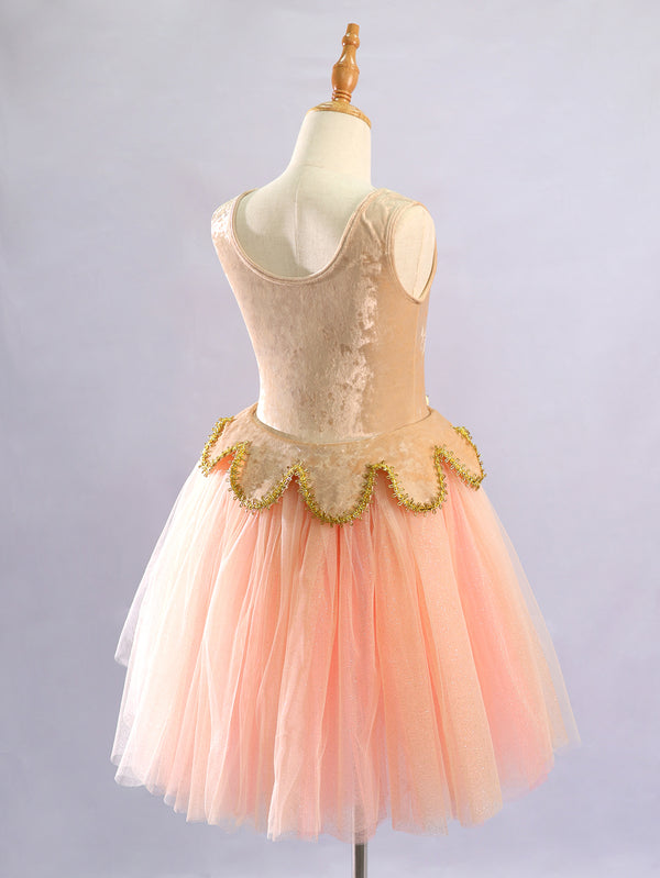 Kids Sleeveless Gold Trim Flower Princess Dance Costume