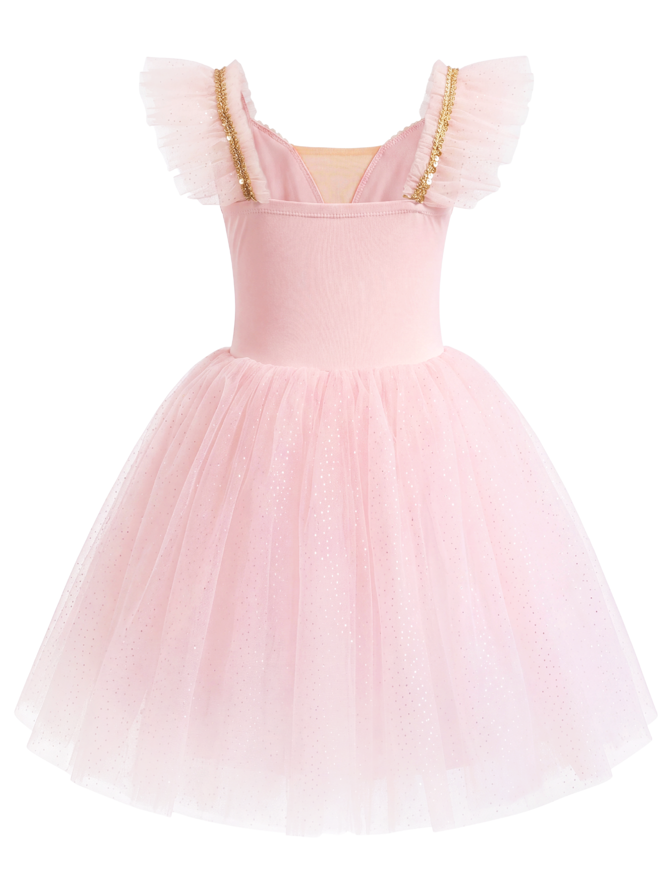 Girls Floral Embroidery Flutter Sleeve Ballet Leotard Princess Tutu Dress-ALP060