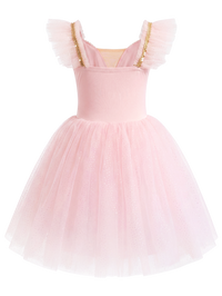 Girls Floral Embroidery Flutter Sleeve Ballet Leotard Princess Tutu Dress-ALP060