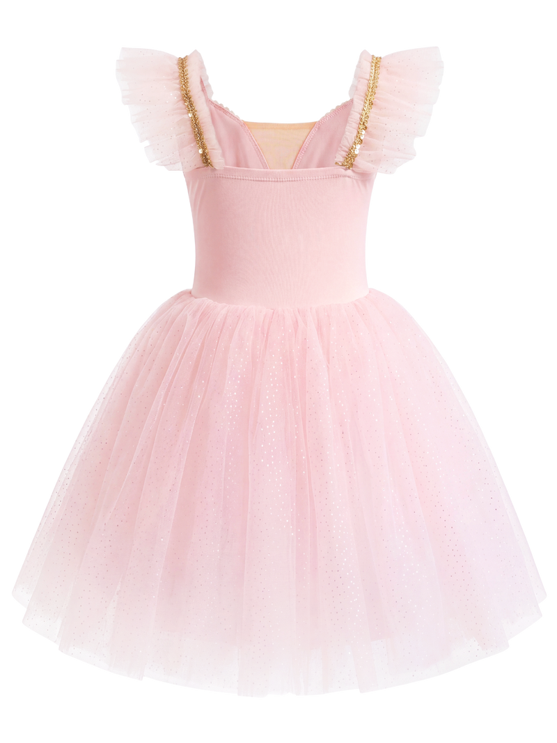 Girls Floral Embroidery Flutter Sleeve Ballet Leotard Princess Tutu Dress-ALP060