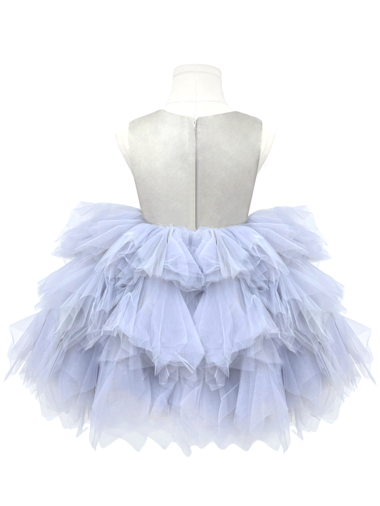 Silver Swan Gown