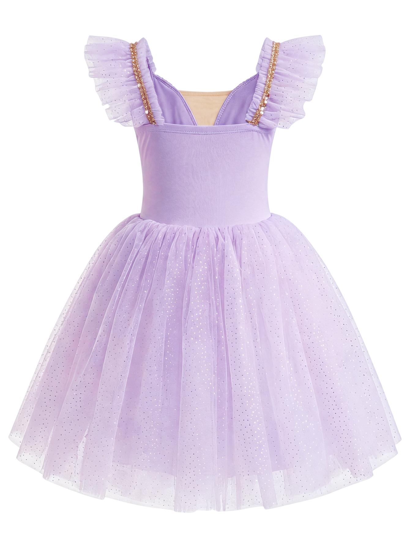 Girls Floral Embroidery Flutter Sleeve Ballet Leotard Princess Tutu Dress-ALP060