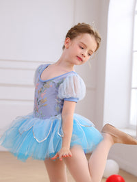 Girls Floral Embroidery Ballet Tutu Dress, Puff Sleeve Dance Costume-ALP045