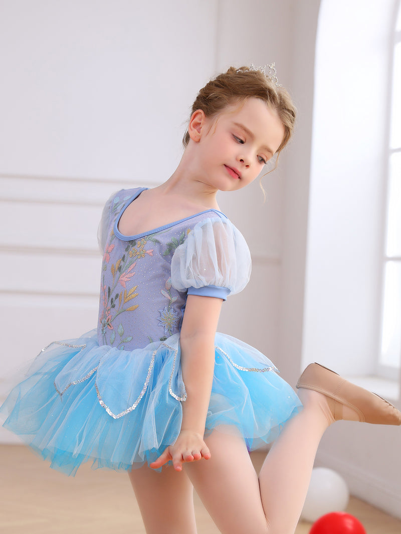 Girls Floral Embroidery Ballet Tutu Dress, Puff Sleeve Dance Costume-ALP045