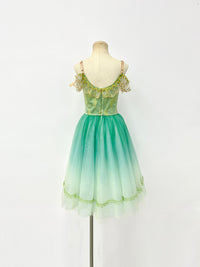 Meadow Maiden Mint Romantic Ballet Dress
