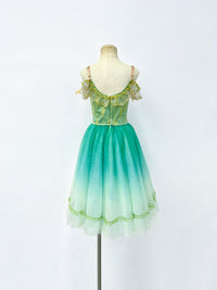 Meadow Maiden Romantic Ballet Dress