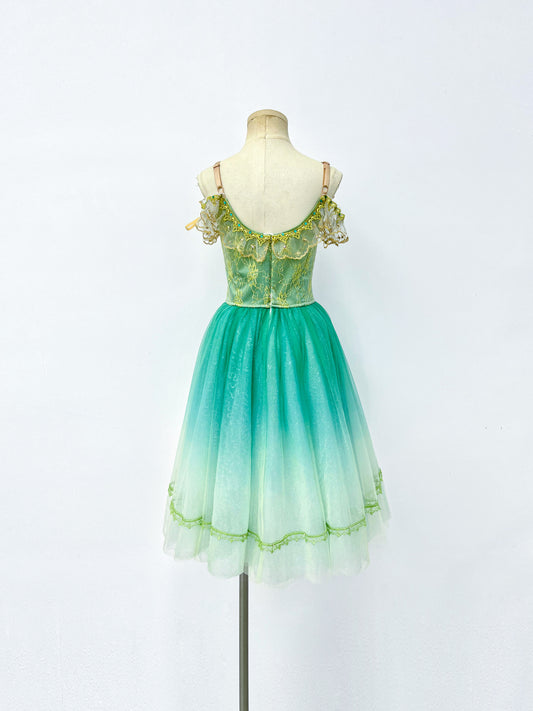 Meadow Maiden Romantic Ballet Dress