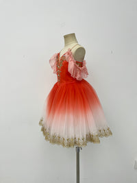 Scarlet Snowfall Romantic Ballet Dress