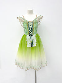 Spring Meadow Peasant Ballet Dress