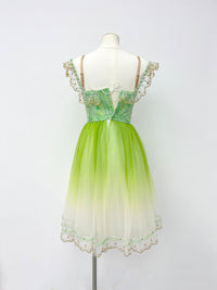 Spring Meadow Peasant Ballet Dress