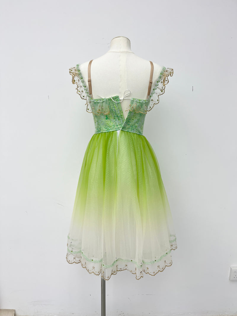 Spring Meadow Peasant Ballet Dress