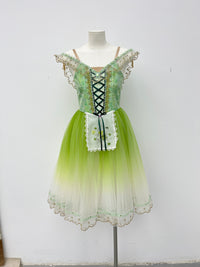 Spring Meadow Peasant Ballet Dress