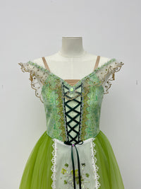Spring Meadow Peasant Ballet Dress