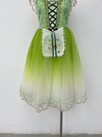 Spring Meadow Peasant Ballet Dress